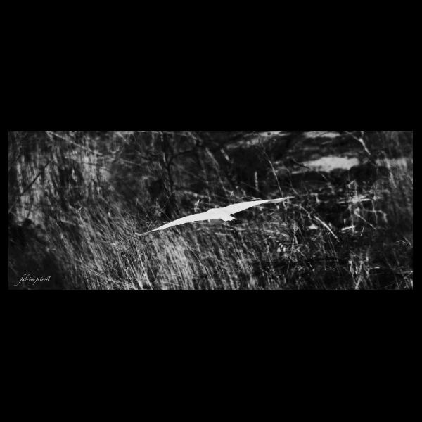 PHOTO84, CLUB, 84 , LUBERON